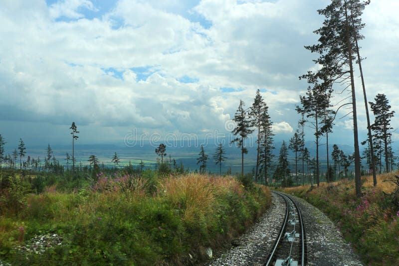 Train tracks between the trees and meadows.