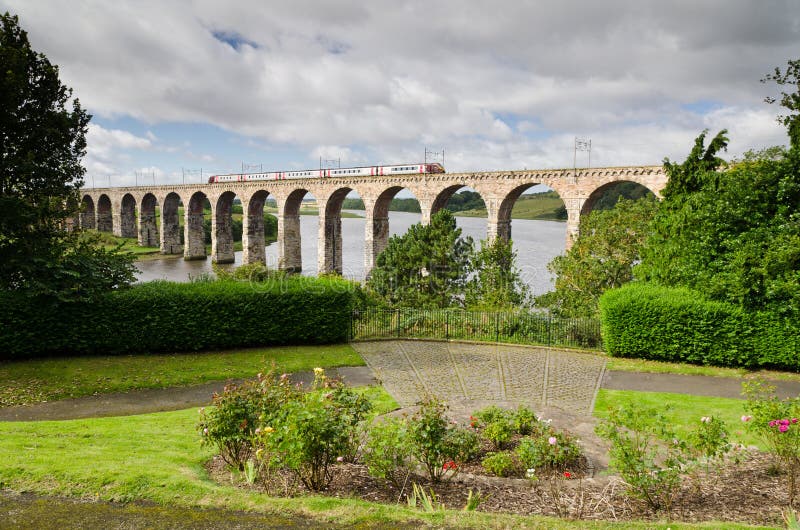 Train on viaduct royalty free stock image