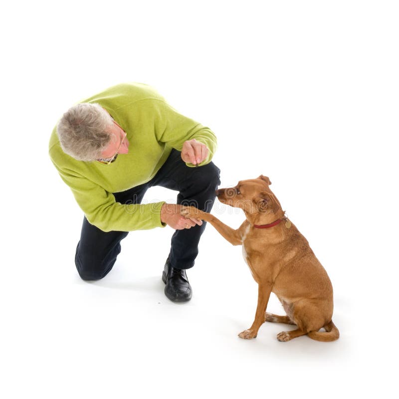 Hombre es un capacitación el perro obediencia.