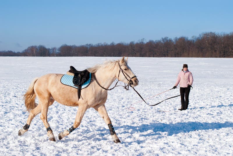 Horseback Riding in Scenic Winter Snowfall Stock Photo Image of snow