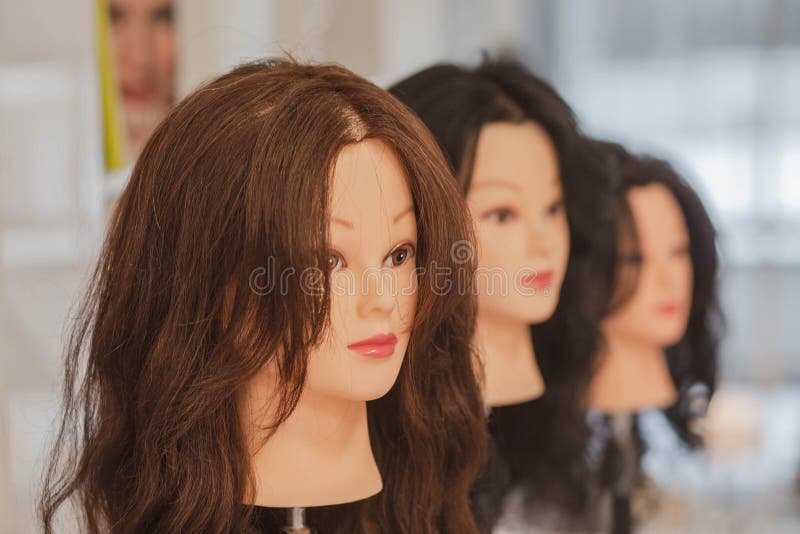 Training material for professional hairdressers