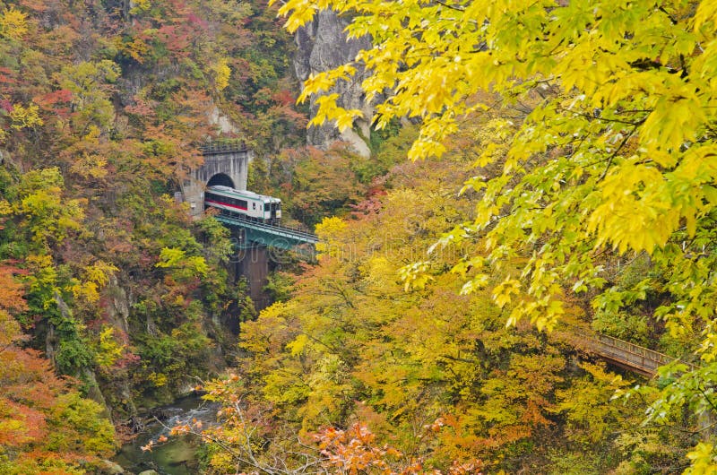 Trains from cave naruko gorge royalty free stock images Trains from cave naruko gorge royalty free stock images