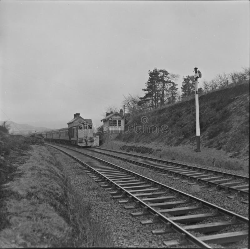 Trains Passing, Mount Pleasant, Co. Louth. Picture Image 222308221