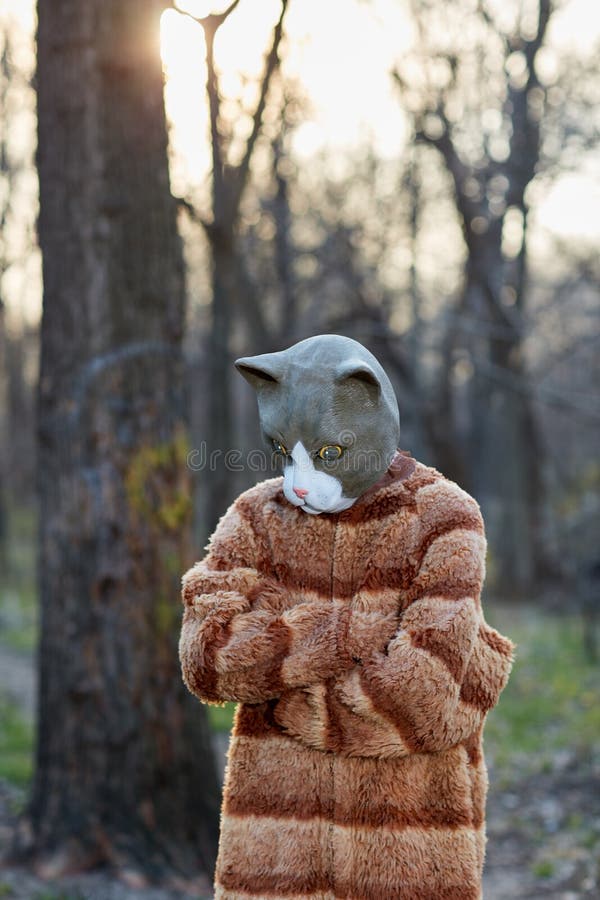Traje del gato de la persona que lleva desgraciada con la máscara fotografía de archivo Traje del gato de la persona que lleva desgraciada con la máscara fotografía de archivo