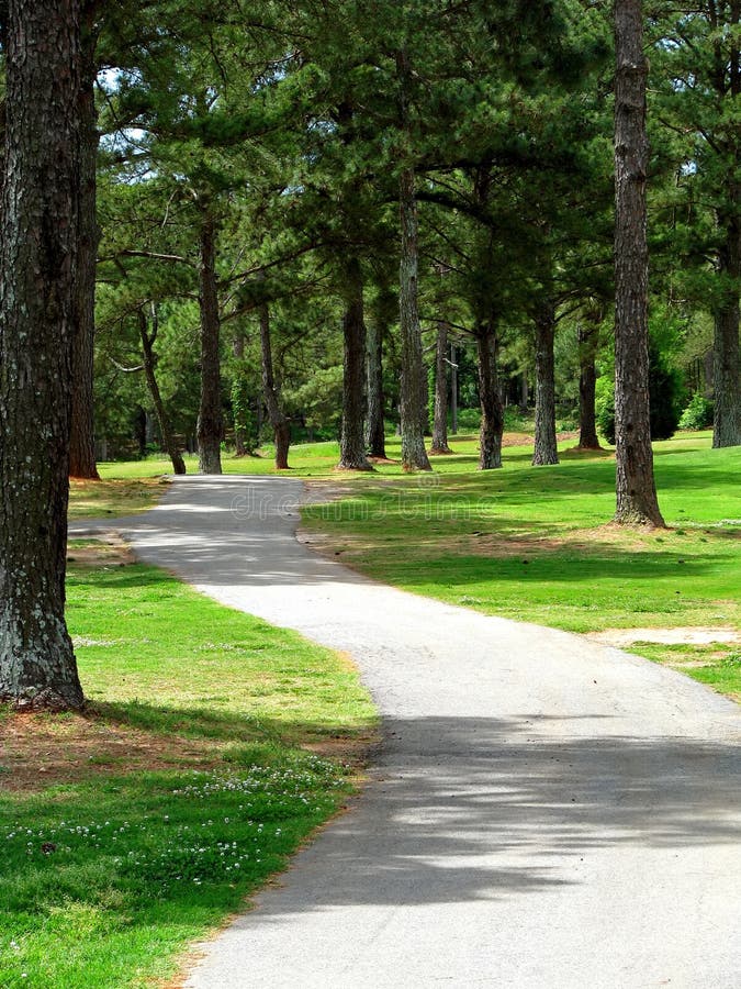 Scenic view of winding pathway through forested park. Scenic view of winding pathway through forested park.