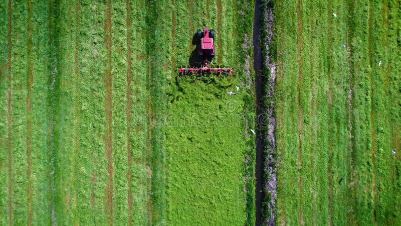 Traktor rozrzuca trawę na terenie holenderskich gospodarstw rolnych otoczonych meliorami widok z góry fryzja ziemia niderlandzka n