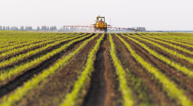 Traktor som besprutar bek?mpningsmedel p? havref?ltet fotografering för bildbyråer Traktor som besprutar bek?mpningsmedel p? havref?ltet fotografering för bildbyråer