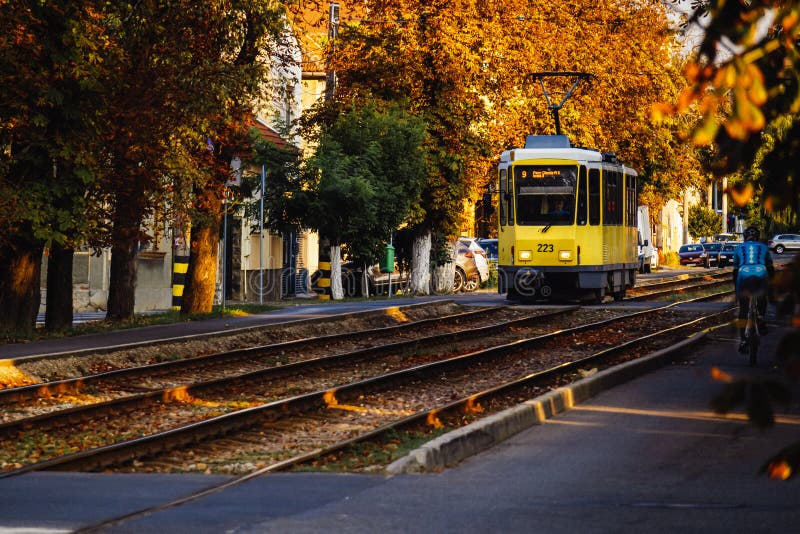Tram che attraversa il parco fotografia stock libera da diritti