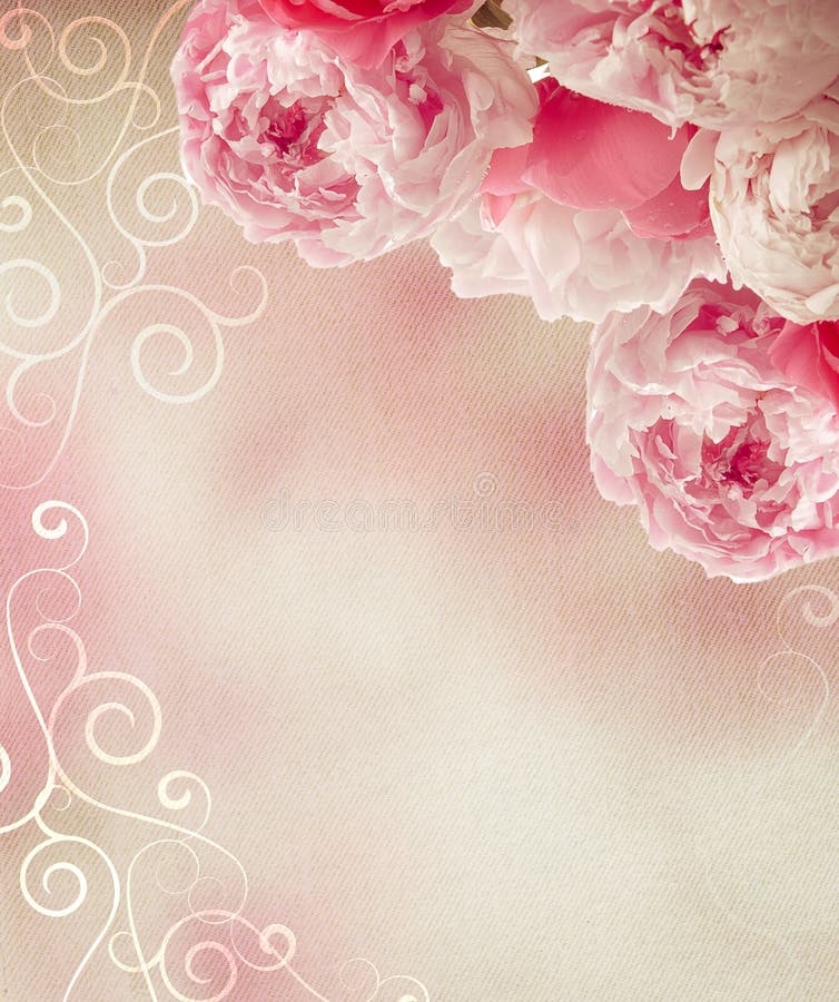 Trame de pivoines de cru photo stock Trame de pivoines de cru photo stock