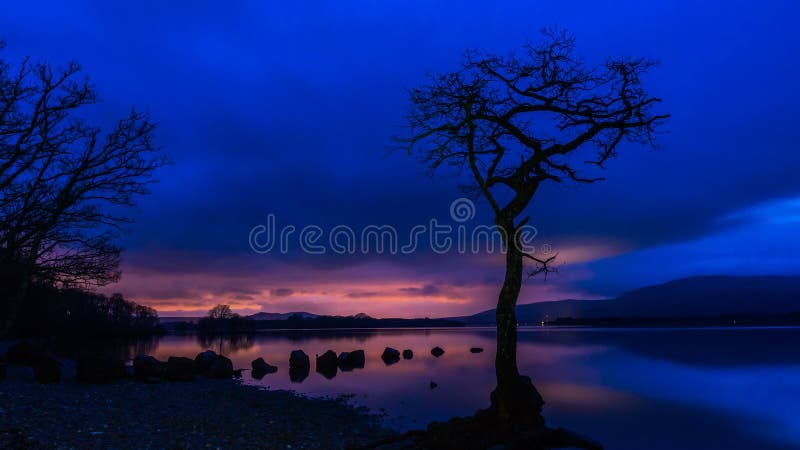 Tramonto all'albero solo a Loch Lomond immagini stock libere da diritti Tramonto all'albero solo a Loch Lomond immagini stock libere da diritti