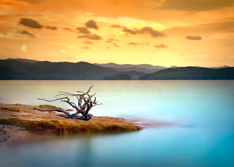 Tramonto del Driftwood del lago mountain con acqua ed il cielo fotografia stock libera da diritti Tramonto del Driftwood del lago mountain con acqua ed il cielo fotografia stock libera da diritti