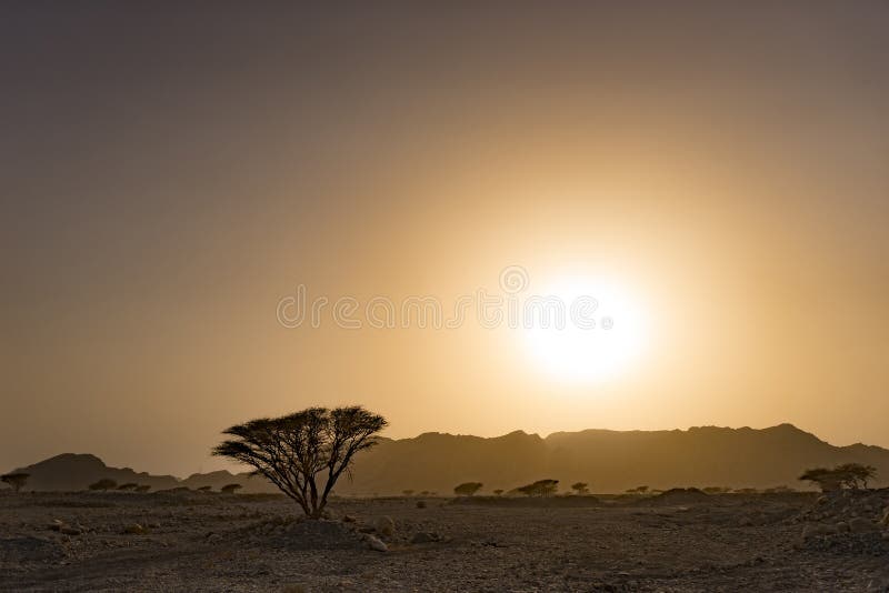 Tramonto dorato sopra le montagne nel deserto selvaggio immagini stock libere da diritti Tramonto dorato sopra le montagne nel deserto selvaggio immagini stock libere da diritti