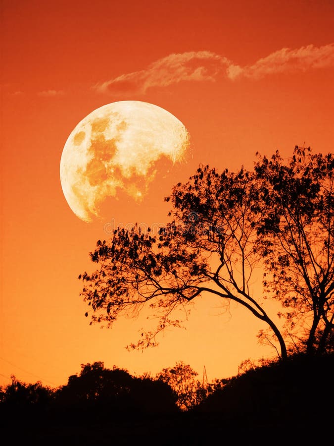 Tramonto e la luna in aumento fotografia stock Tramonto e la luna in aumento fotografia stock