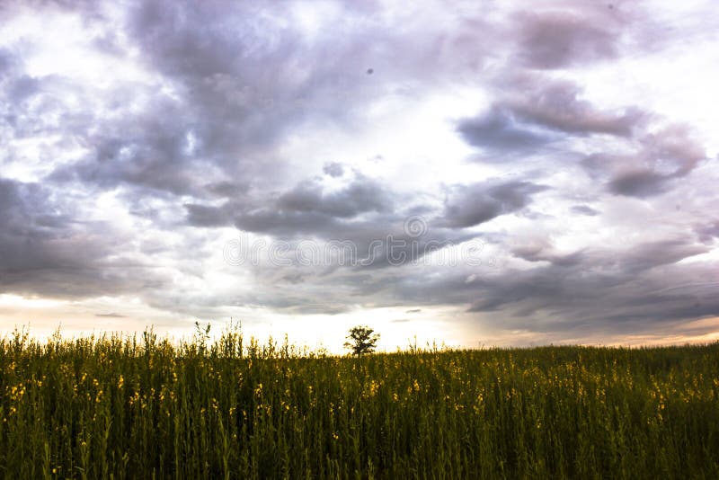 tramonto fantastico al paesaggio del prato cielo variopinto con le nuvole nuvolose fotografia stock tramonto fantastico al paesaggio del prato cielo variopinto con le nuvole nuvolose fotografia stock