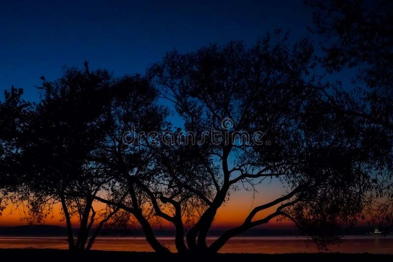 Tramonto incredibile e luminoso sopra l'acqua contro lo sfondo di cui la siluetta di grande albero fotografie stock Tramonto incredibile e luminoso sopra l'acqua contro lo sfondo di cui la siluetta di grande albero fotografie stock