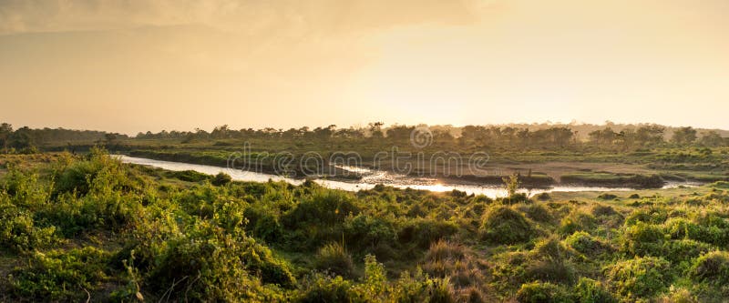 Tramonto nella giungla, parco nazionale di Chitwan, Nepal immagine stock Tramonto nella giungla, parco nazionale di Chitwan, Nepal immagine stock