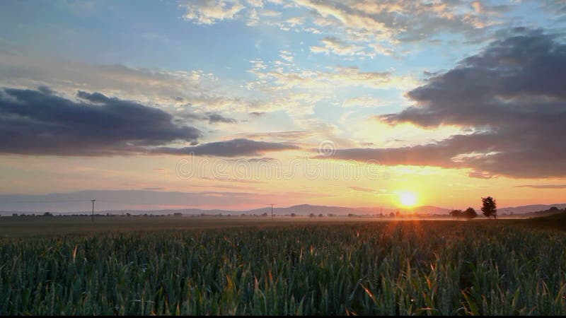 Tramonto sopra il campo verde agricolo - lasso di tempo