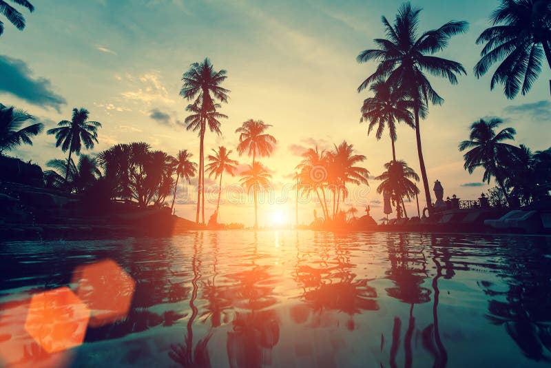 Tramonto su una spiaggia tropicale con le siluette delle palme contro il cielo fotografia stock Tramonto su una spiaggia tropicale con le siluette delle palme contro il cielo fotografia stock