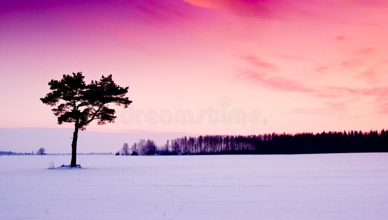 Tramonto viola di inverno fotografie stock Tramonto viola di inverno fotografie stock