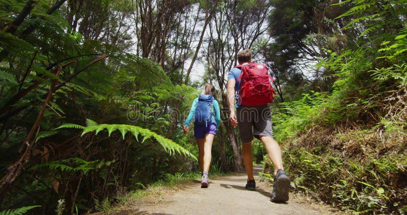 Trampelnden Active Lebensweise der Menschen wandern- Neuseeland-Waldnaturlandschaft