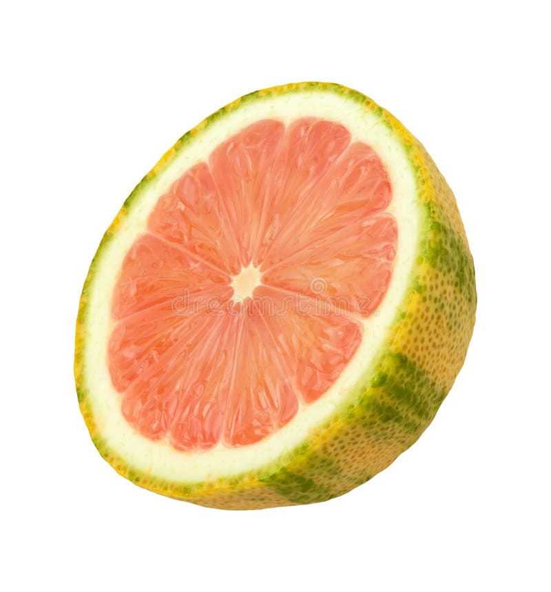 Citron De Tigre De Rose D'agrumes Image stock Image du nourriture