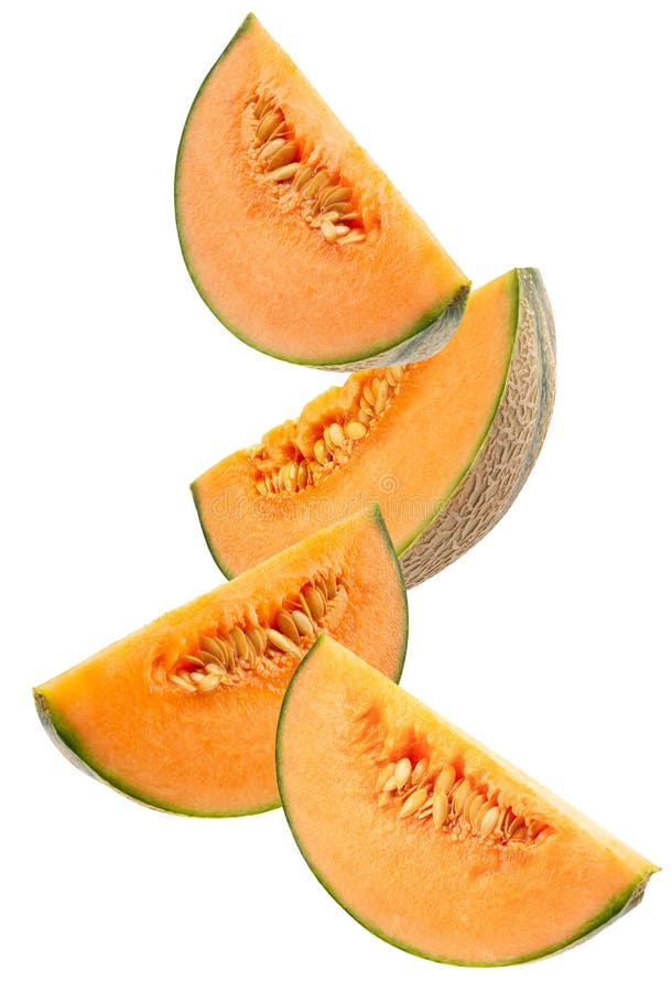 Tranches de melon d'isolement sur un fond blanc photos stock Tranches de melon d'isolement sur un fond blanc photos stock