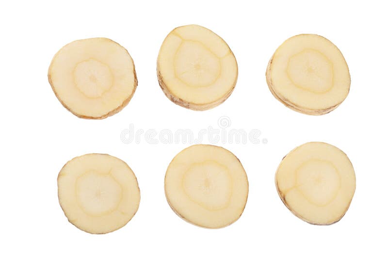 Tranches racinaires de parsnip isolées sur fond blanc Vue supérieure Pièce plate Définir ou collecter photos libres de droits Tranches racinaires de parsnip isolées sur fond blanc Vue supérieure Pièce plate Définir ou collecter photos libres de droits