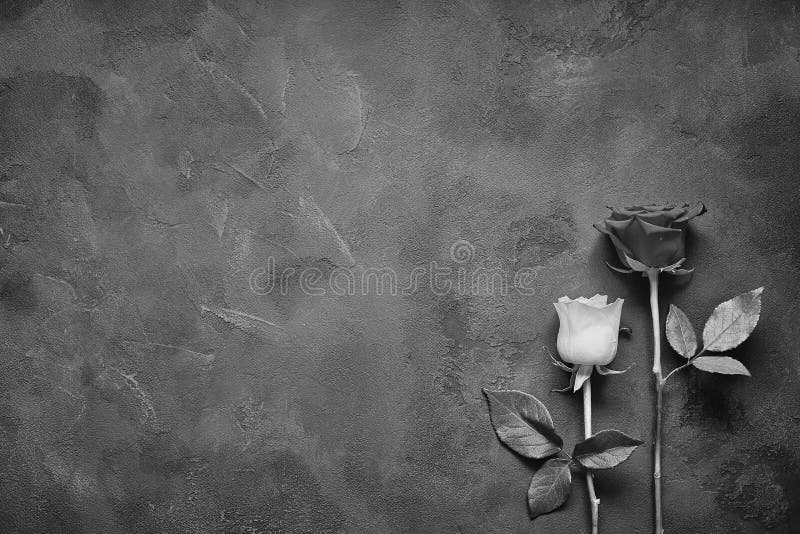 Trandafiri albi și roșii pe un fond frumos de piatră royalty free stock image