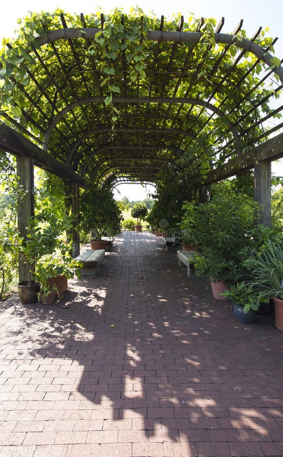 433 Garden Arbor Tunnel Stock Photos Free & RoyaltyFree Stock Photos from Dreamstime