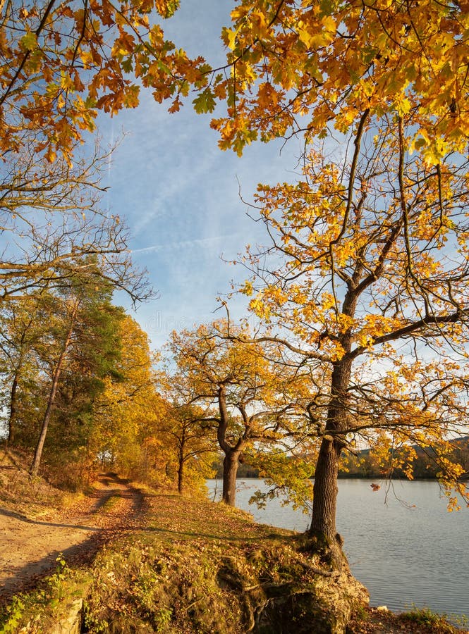 Tranquil autumnal nature scene - countryside road with colorful oak trees along a lake and hill stock photos Tranquil autumnal nature scene - countryside road with colorful oak trees along a lake and hill stock photos