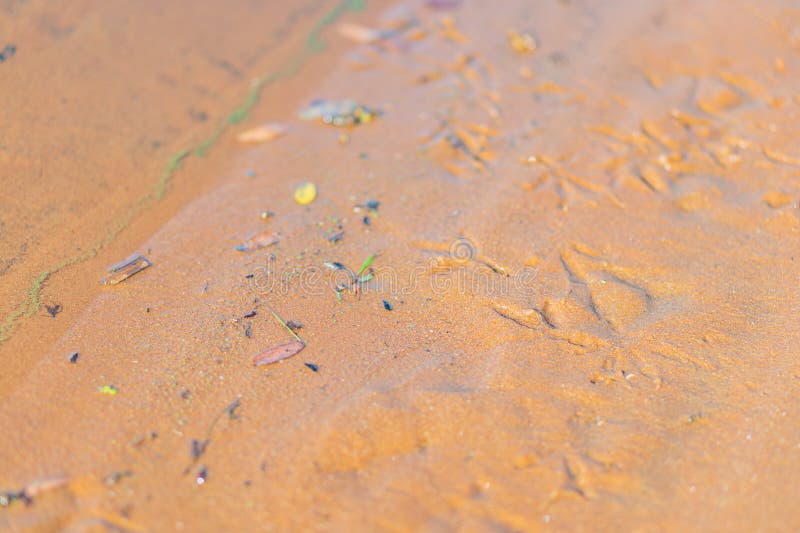 A tranquil beach scene showcasing the beauty and power of the ocean, with delicate patterns in the wet sand and stock images