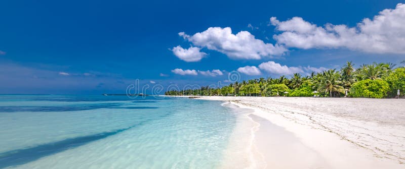 Panoramic tropical landscape, beach shore with palm trees and relaxing lagoon bay. Exotic nature tranquility, sunny blue sky