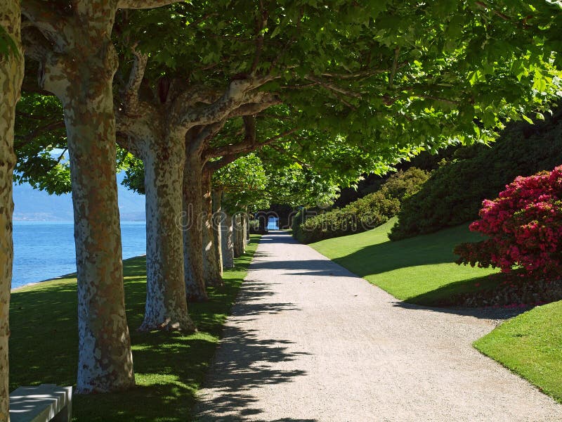 Pokojnú cestu v záhrade pozdĺž brehu jazera Como, Bellagio Taliansku.