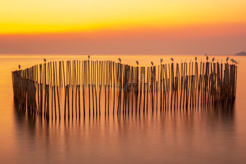 Tranquil image photo of bamboo fence align with hearth symbol with sunset or evening time at sea or ocean.