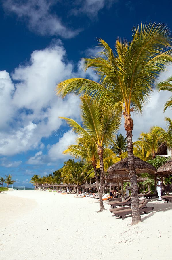 Tranquil Tropical Beach on Mauritius Editorial Photography Image of