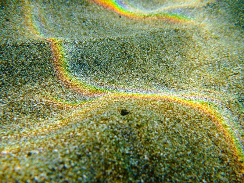 Tranquil underwater sea scene with copy space stock photography Tranquil underwater sea scene with copy space stock photography