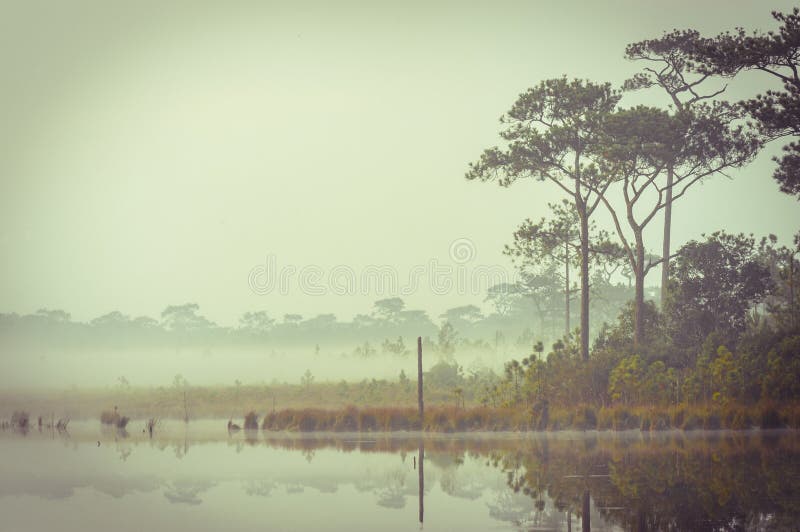 Tranquilidade retro por um lago na manhã. foto de stock Tranquilidade retro por um lago na manhã. foto de stock