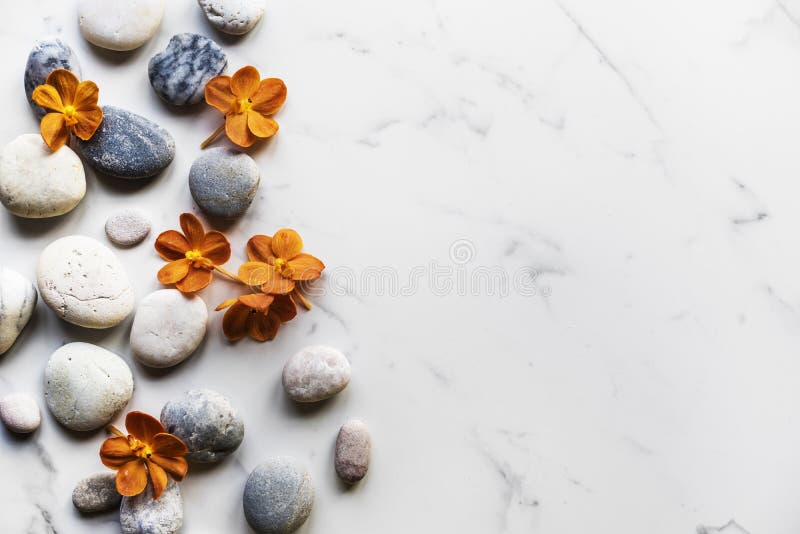 Tranquilidade saudável do equilíbrio do aroma da rocha da flor