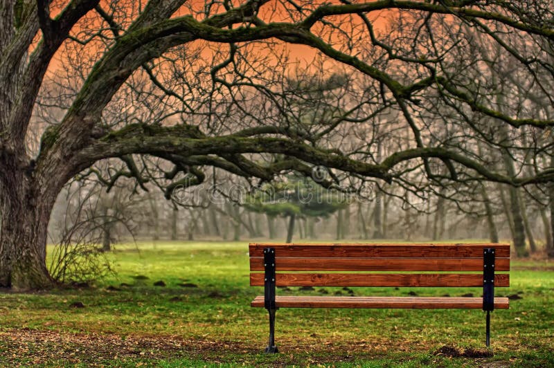 Romantico e tranquillo posto in un parco.