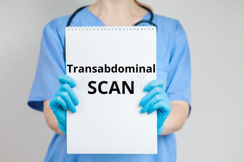 Transabdominal Scan inscription text general medical topics royalty free stock photography