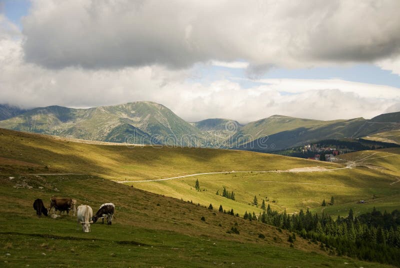View from the Transalpina road, near Ranca, Romania. Transalpina stock images, royalty-free photos and pictures