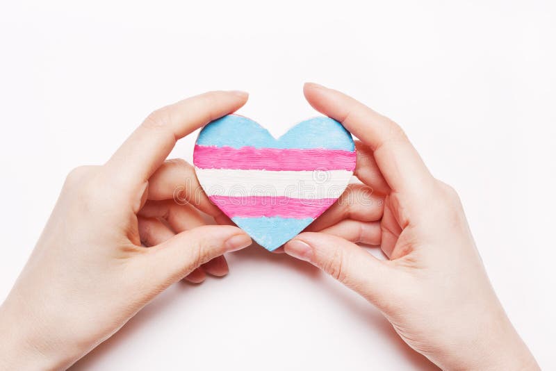 Transgender σημαιών χρώματος καρδιών υπό εξέταση στοκ εικόνες Transgender σημαιών χρώματος καρδιών υπό εξέταση στοκ εικόνες
