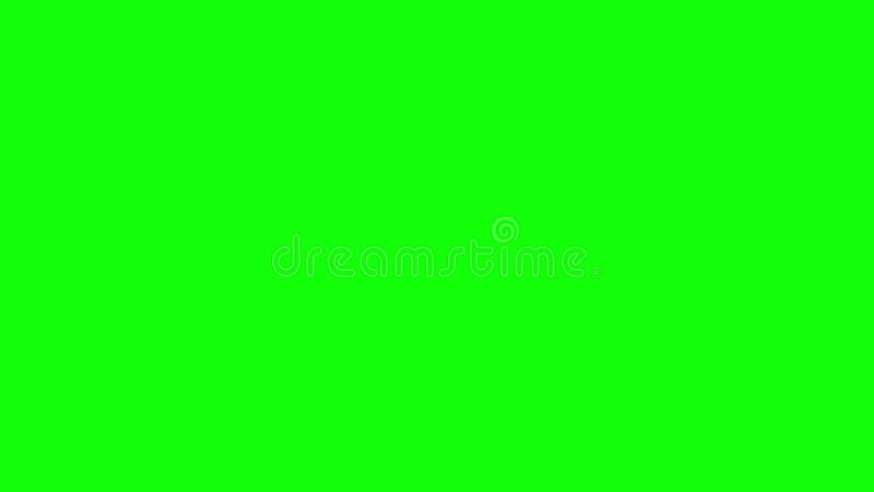 Transition avec belle Rose Petals Flying Away de l'écran Animation 3D faite une boucle Écran vert HD 1080 clips vidéos