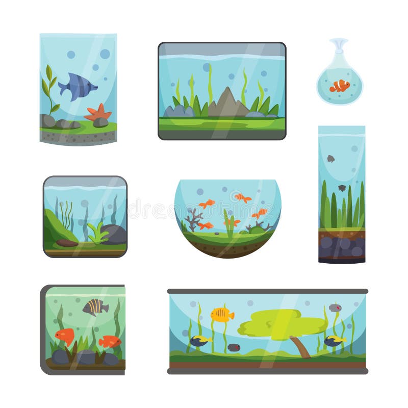 Transparant die aquarium op van de het huis onderwatertank van de witte vissenhabitat aquarian de kom vectorillustratie wordt geï vector illustratie Transparant die aquarium op van de het huis onderwatertank van de witte vissenhabitat aquarian de kom vectorillustratie wordt geï vector illustratie