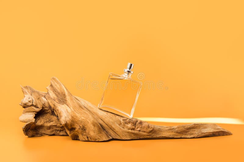 Transparent perfume bottle standing on an aged weathered wooden log royalty free stock photos