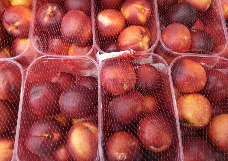 Transparent Plastic Containers Containing Peaches Stock Image Image