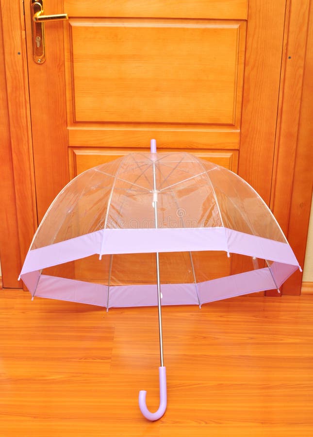 Transparent umbrella