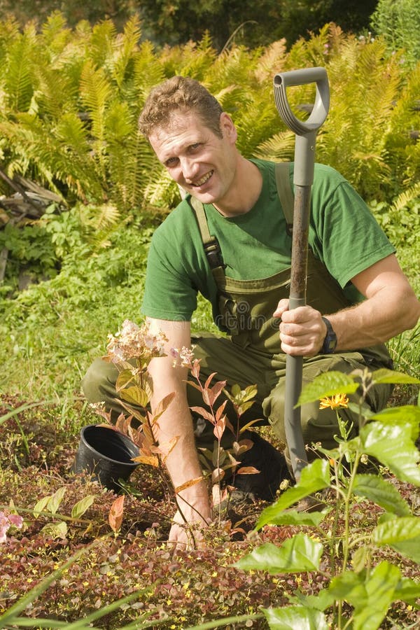 Transplanting plants and flowers