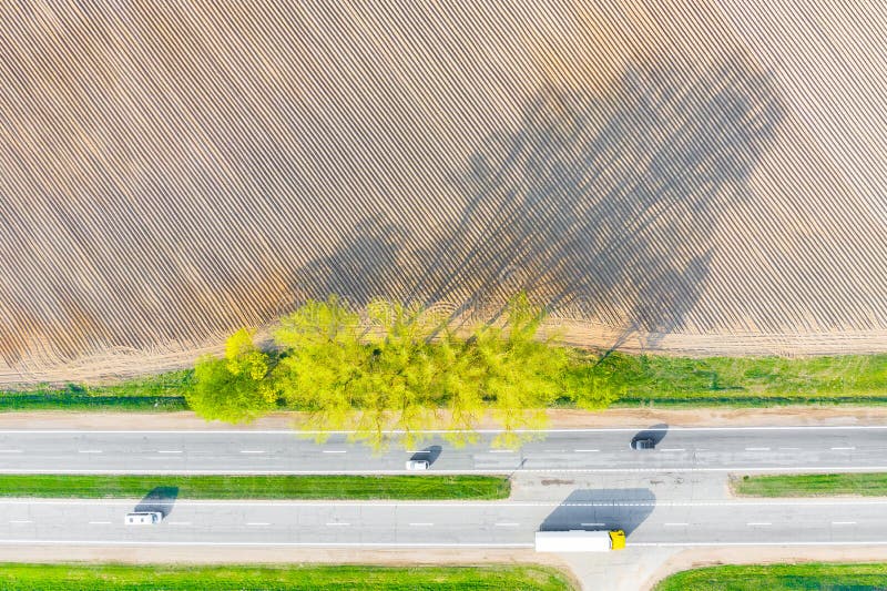 Transportation concept. Dry farmland near road. Tree shadows