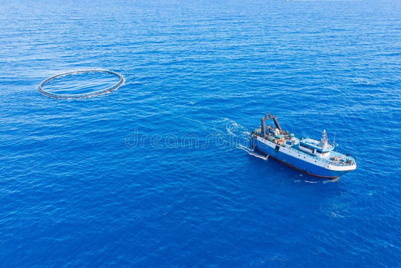 Transportation of fish in cage to farm and port market. Blue sea aquaculture salmon background